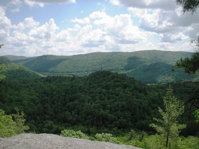 view from Little Ball Mountain, Jamaica, VT